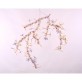 AM1330 BLOSSOM
